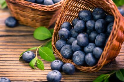 10 Brilliant Facts About Blueberries You Should Know