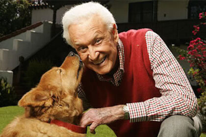 10 Reasons Your Pets Get Better Healthcare Than You