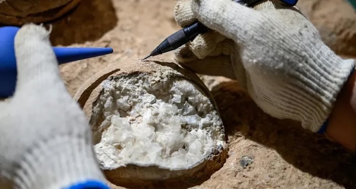 Researchers Directly Date Dinosaur Eggs For The First Time