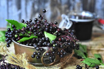 7 Deadly Dinners: When Plants Kill