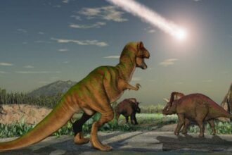 10 Pivotal Moments for Life on Earth