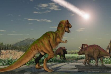 10 Pivotal Moments for Life on Earth