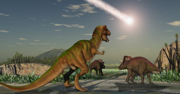 10 Pivotal Moments for Life on Earth