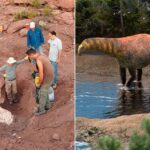 Previously Unknown Sauropod Species Unearthed In Argentina