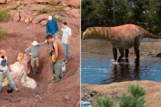 Previously Unknown Sauropod Species Unearthed In Argentina