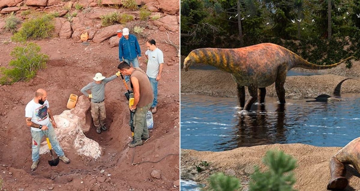 Previously Unknown Sauropod Species Unearthed In Argentina