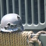 History’s 10 Deadliest Snipers