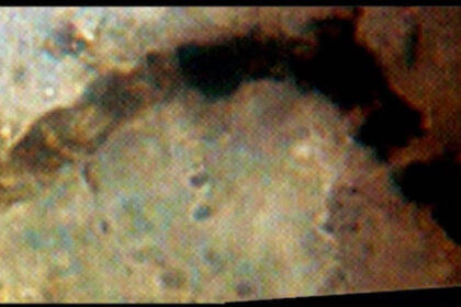 What Are The Oldest Fossils Ever Found On Earth?