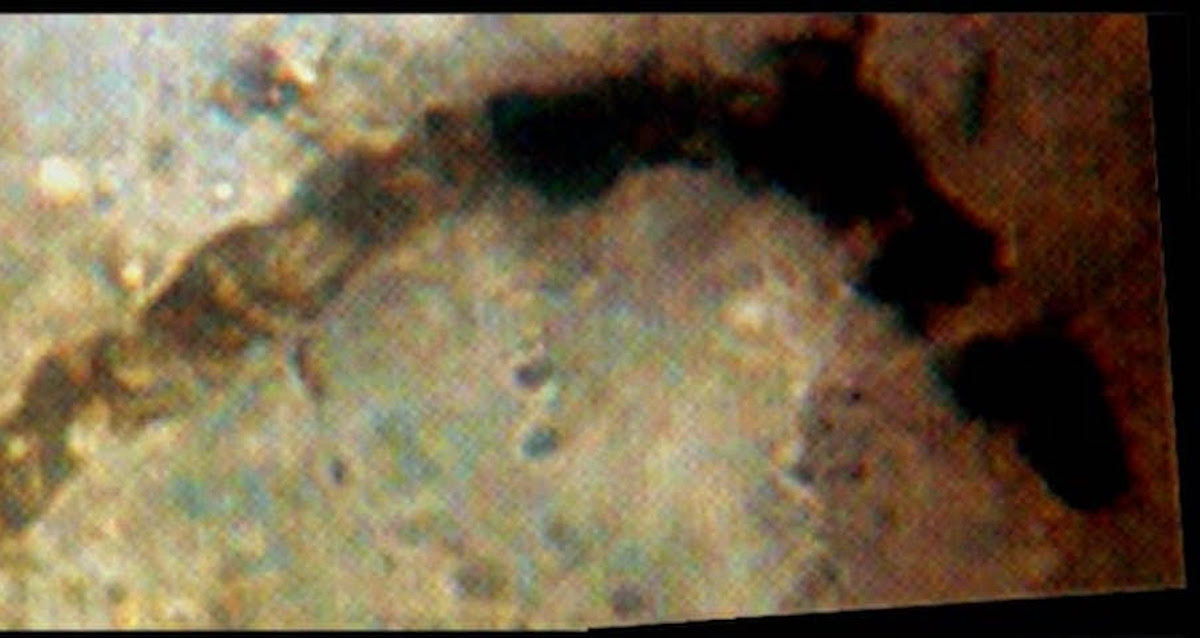 What Are The Oldest Fossils Ever Found On Earth?