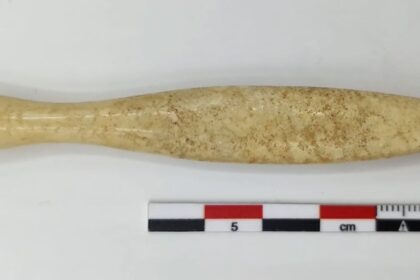 Researchers Identify The Oldest Hippo Ivory Object In The Iberian Peninsula