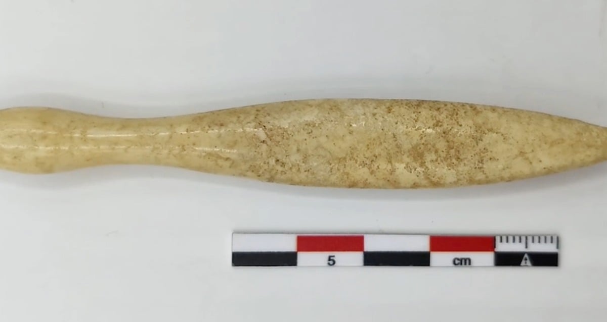 Researchers Identify The Oldest Hippo Ivory Object In The Iberian Peninsula