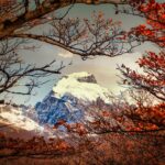 Iconic Tourist Destinations That Will Soon Disappear