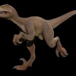 The Most Bizarre Fossils Ever Discovered