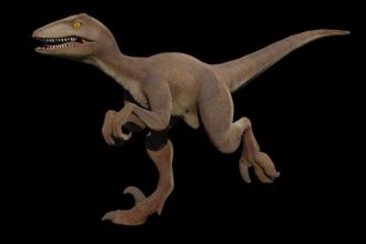 The Most Bizarre Fossils Ever Discovered