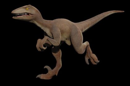 The Most Bizarre Fossils Ever Discovered