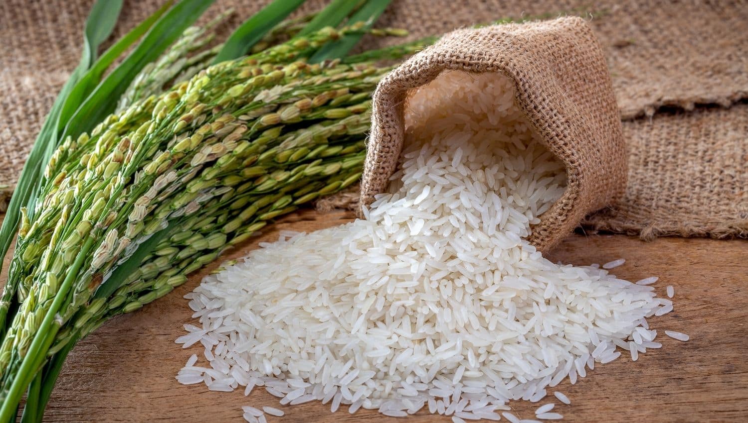 11 Nice Facts About Rice That You Didn’t Know