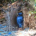 10 Stunning Homes Not Built by Humans