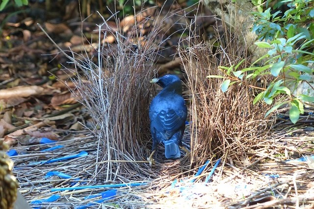 10 Stunning Homes Not Built by Humans