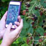 10 Greatest Corporate Faceplants of All Time