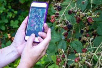 10 Greatest Corporate Faceplants of All Time