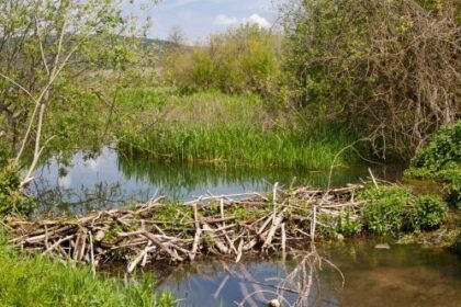 10 Unusual Stories You’ll Never Forget