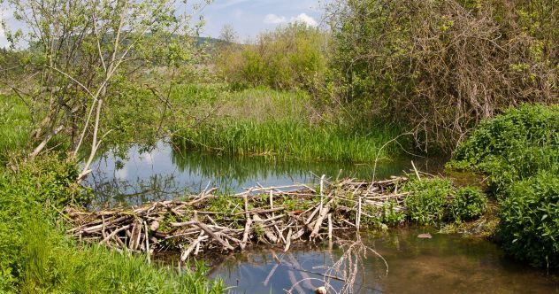 10 Unusual Stories You’ll Never Forget