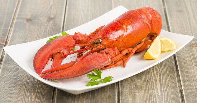 10 Foods That Went from Garbage to Gourmet