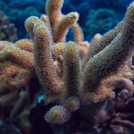 10 Awesome Upgrades to Common Household Items