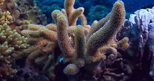 10 Awesome Upgrades to Common Household Items