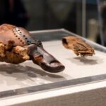 10 Ancient Prosthetics That Deserve a Hand