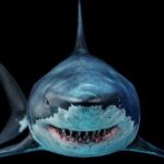 10 Stories That Gripped the World 50 Years Ago in 1975