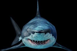 10 Stories That Gripped the World 50 Years Ago in 1975