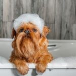 10 Bizarre Consumer Products Pulled Within Days of Release