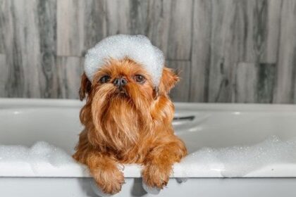 10 Bizarre Consumer Products Pulled Within Days of Release