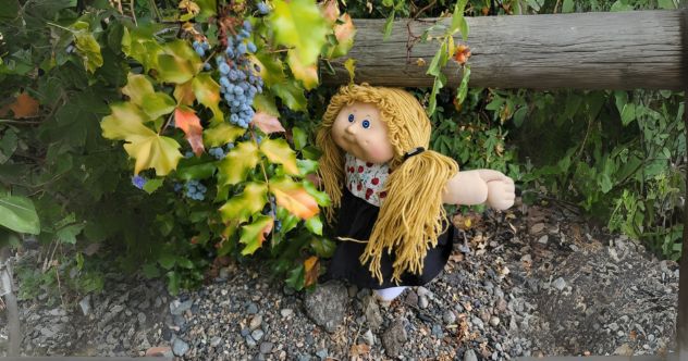 10 Bizarre Facts About Cabbage Patch Kids