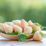 10 Fruits with Jaw-Dropping Price Tags