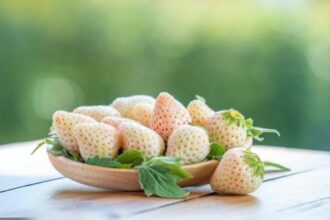 10 Fruits with Jaw-Dropping Price Tags