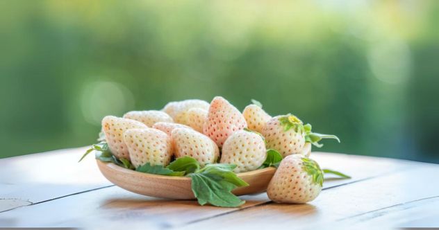 10 Fruits with Jaw-Dropping Price Tags