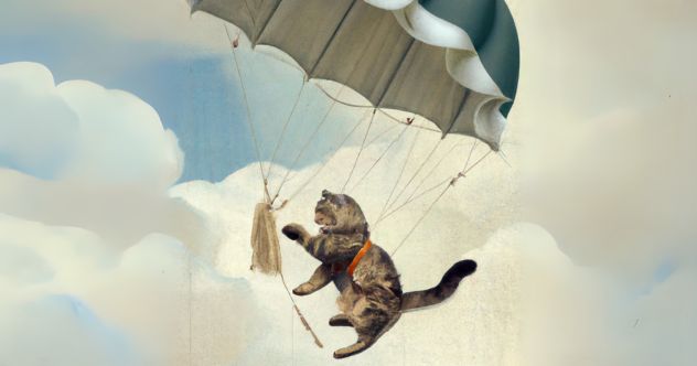 10 Strange Yet True Historical Events