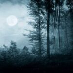 10 Unsettling Encounters to Make You Reconsider Entering the Woods