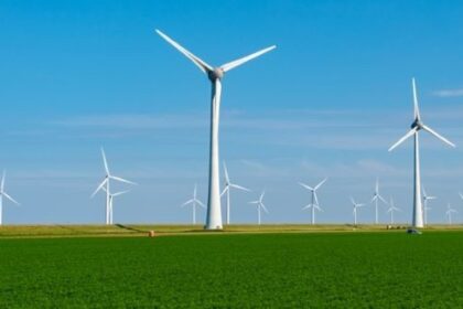 10 Hilarious Excuses Firms Once Gave to Cover Up Their Bad Deeds