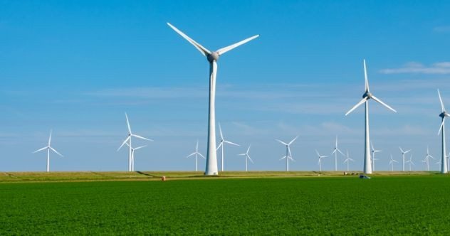 10 Hilarious Excuses Firms Once Gave to Cover Up Their Bad Deeds