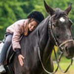 10 Inspiring Tales of Horses Being Human