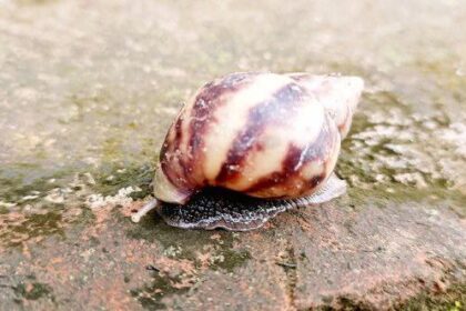 10 Wacky but Fascinating New Health Stories