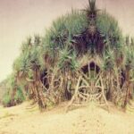 10 Deserted Islands With Bizarre and Forgotten Histories