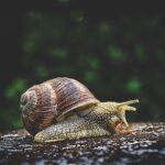 The World’s Weirdest Canned Foods