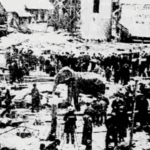 10 Incredibly Bizarre Animal Deaths