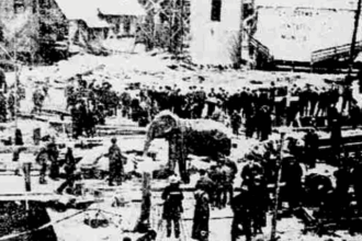 10 Incredibly Bizarre Animal Deaths