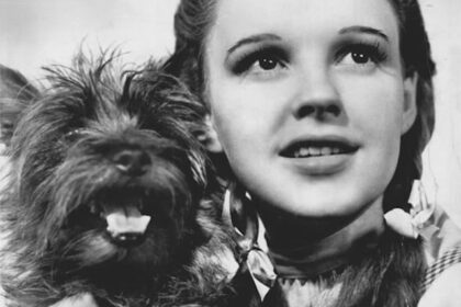 10 Animal Actors Whose Real Names You Likely Don’t Know