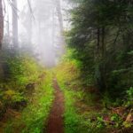 6 Legendary Beings Who Haunt America’s National Parks